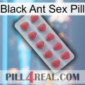 Black Ant Sex Pill 18